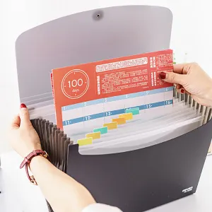 Accordion Expanding File Folder Organizer A4 Size with 13 pockets
