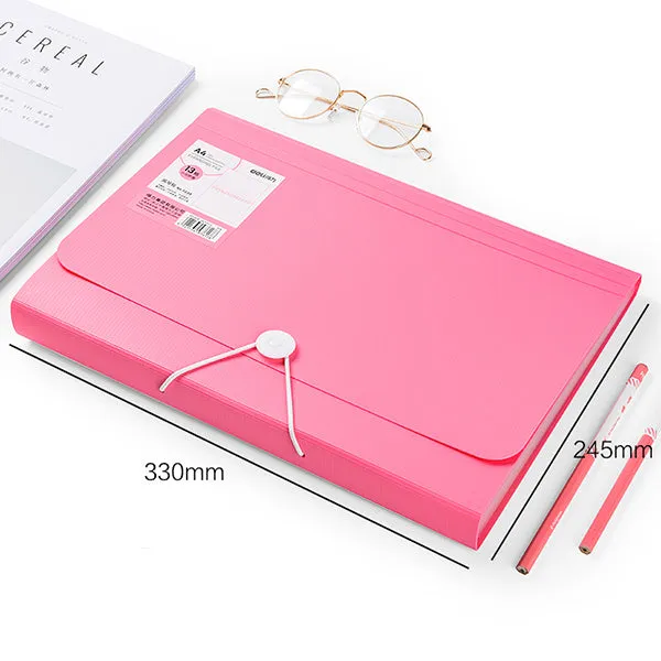 Accordion Expanding File Folder Organizer A4 Size with 13 pockets