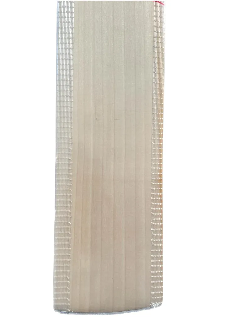ANM Signature Edition Top Grade 1 English Willow Cricket Bat (Leather Ball)