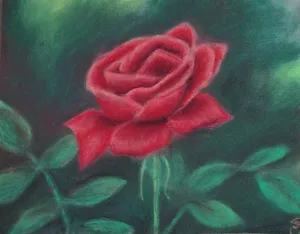 Beauty of Rose ~ Art Print