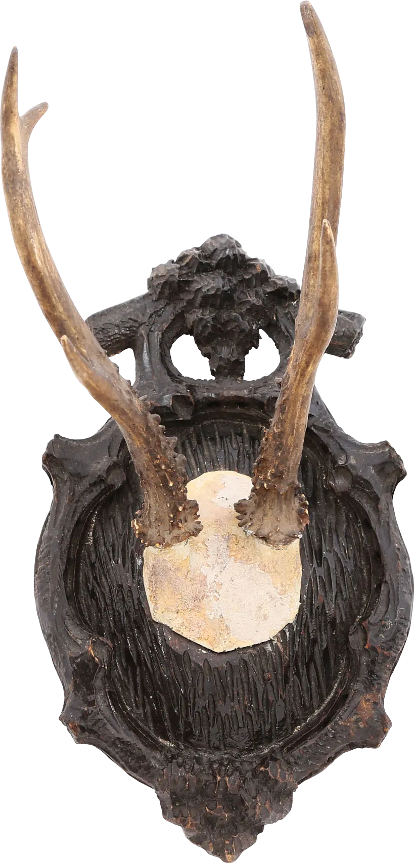 BLACK FORREST ROE DEER MOUNT C.1880’S