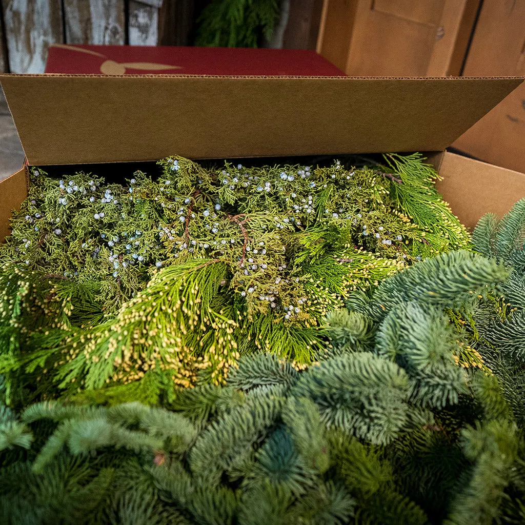 Box of Evergreens