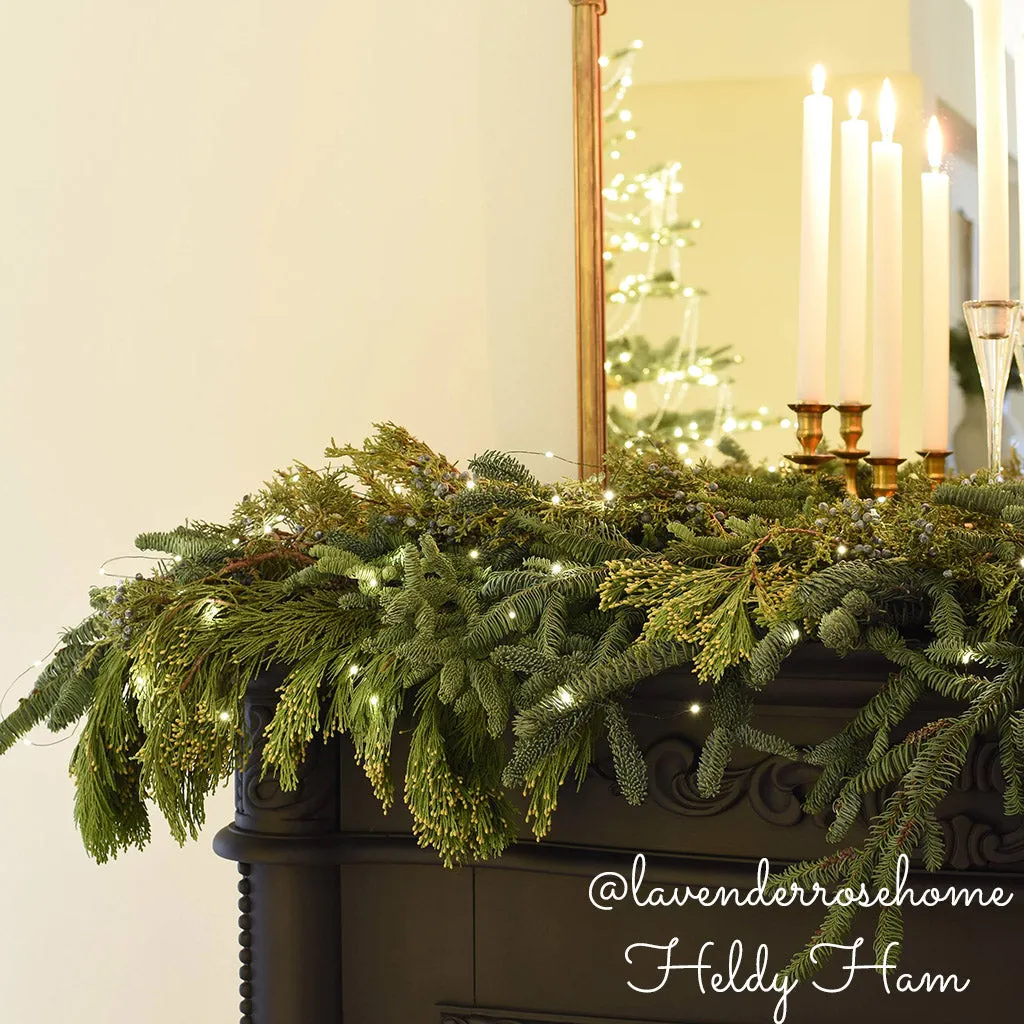 Box of Evergreens
