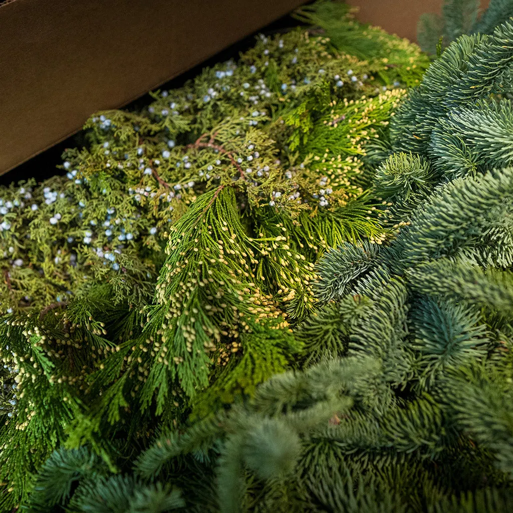 Box of Evergreens