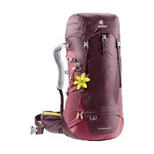 Deuter Futura Series  - Hiking/Travel