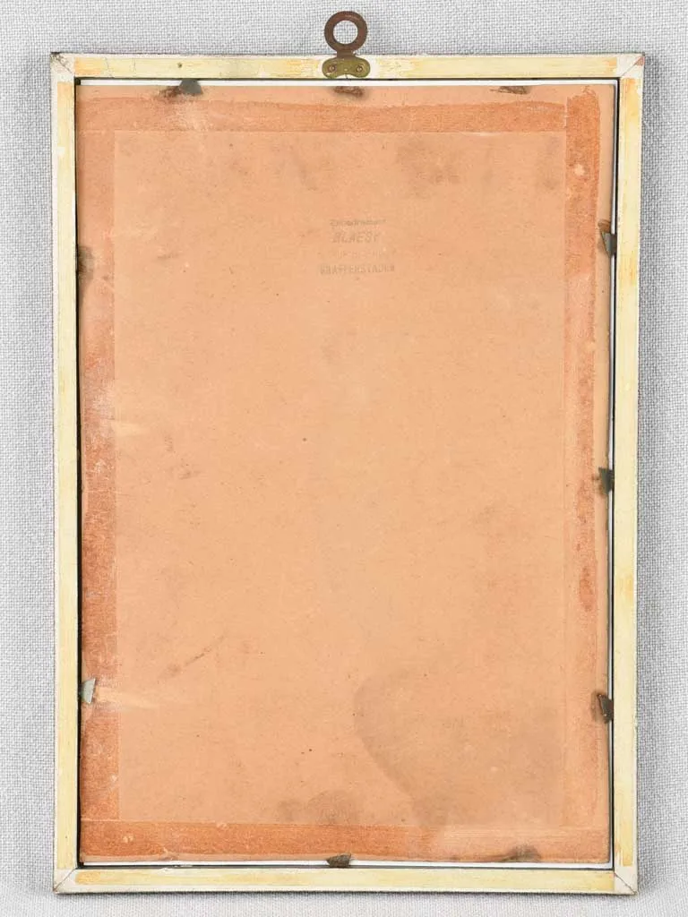 Early 20th century botanic art - coquelicot 12½" x 8¼"