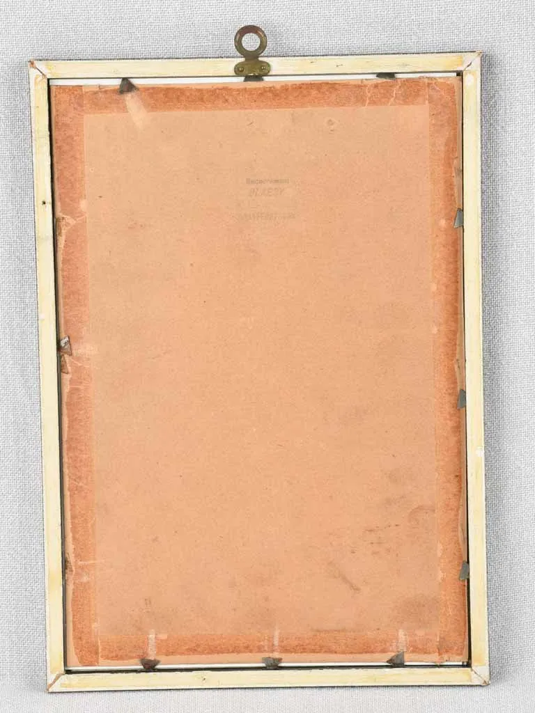 Early 20th century botanic art - luzerne falciforme 12½" x 8¼"