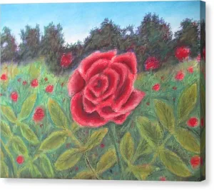 Field of Roses - Canvas Print