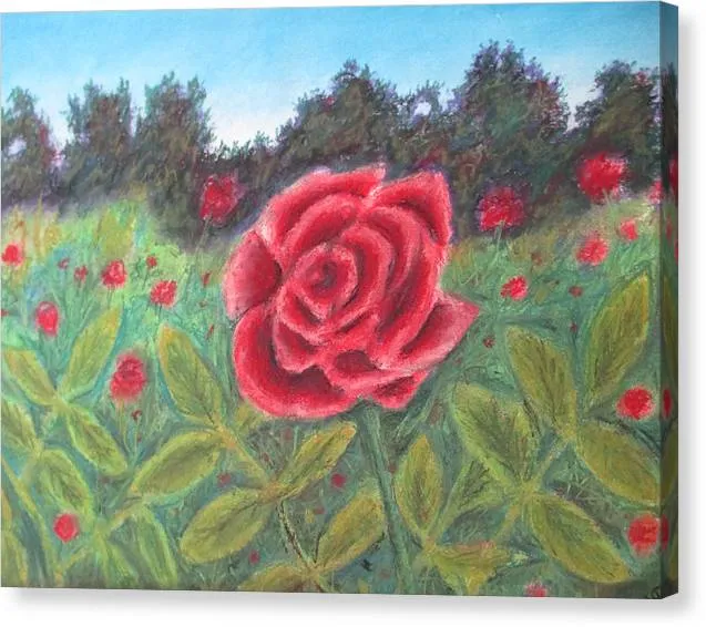 Field of Roses - Canvas Print