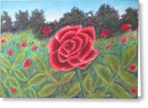 Field of Roses - Greeting Card