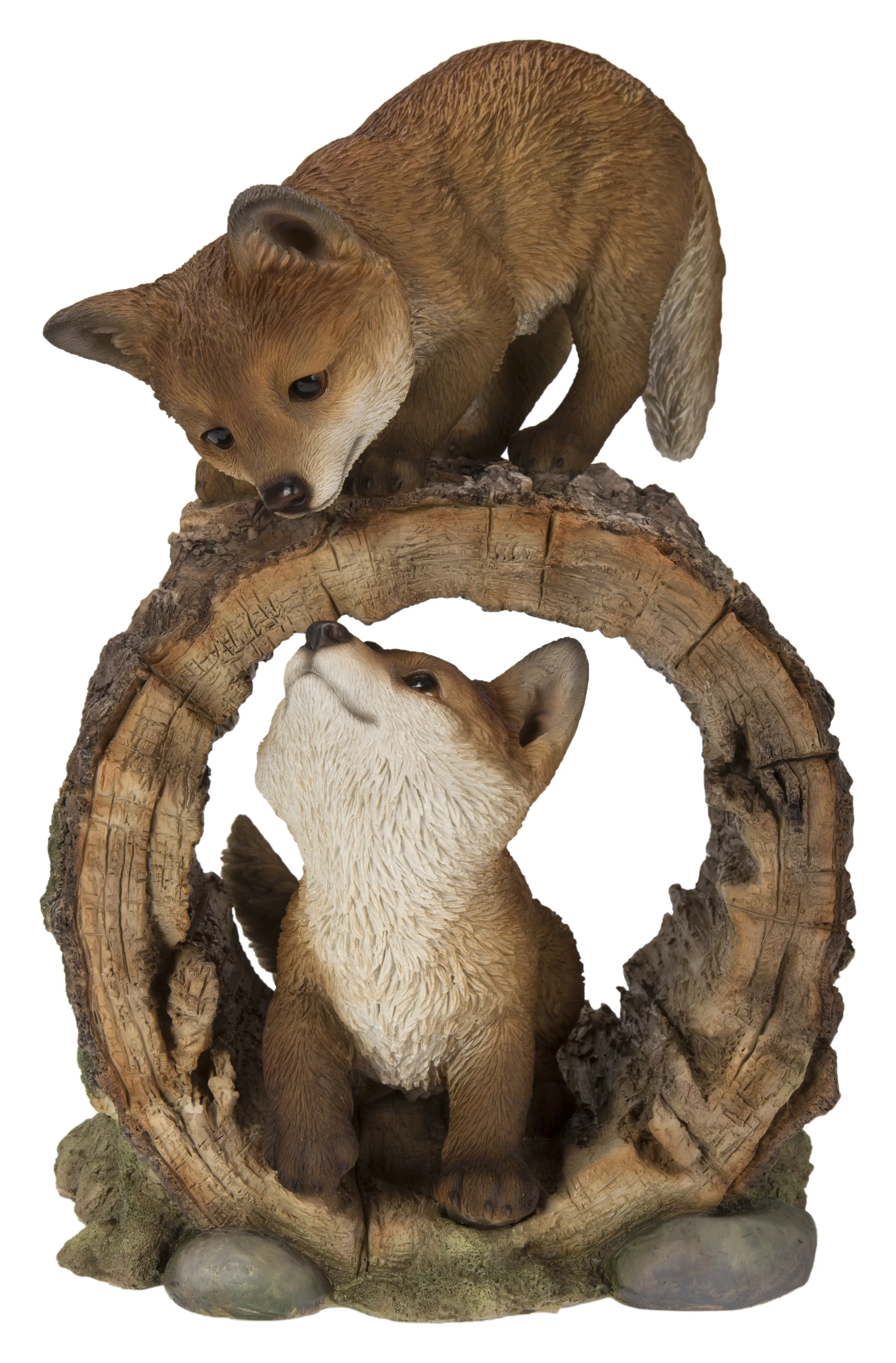 Fox Pups Playing