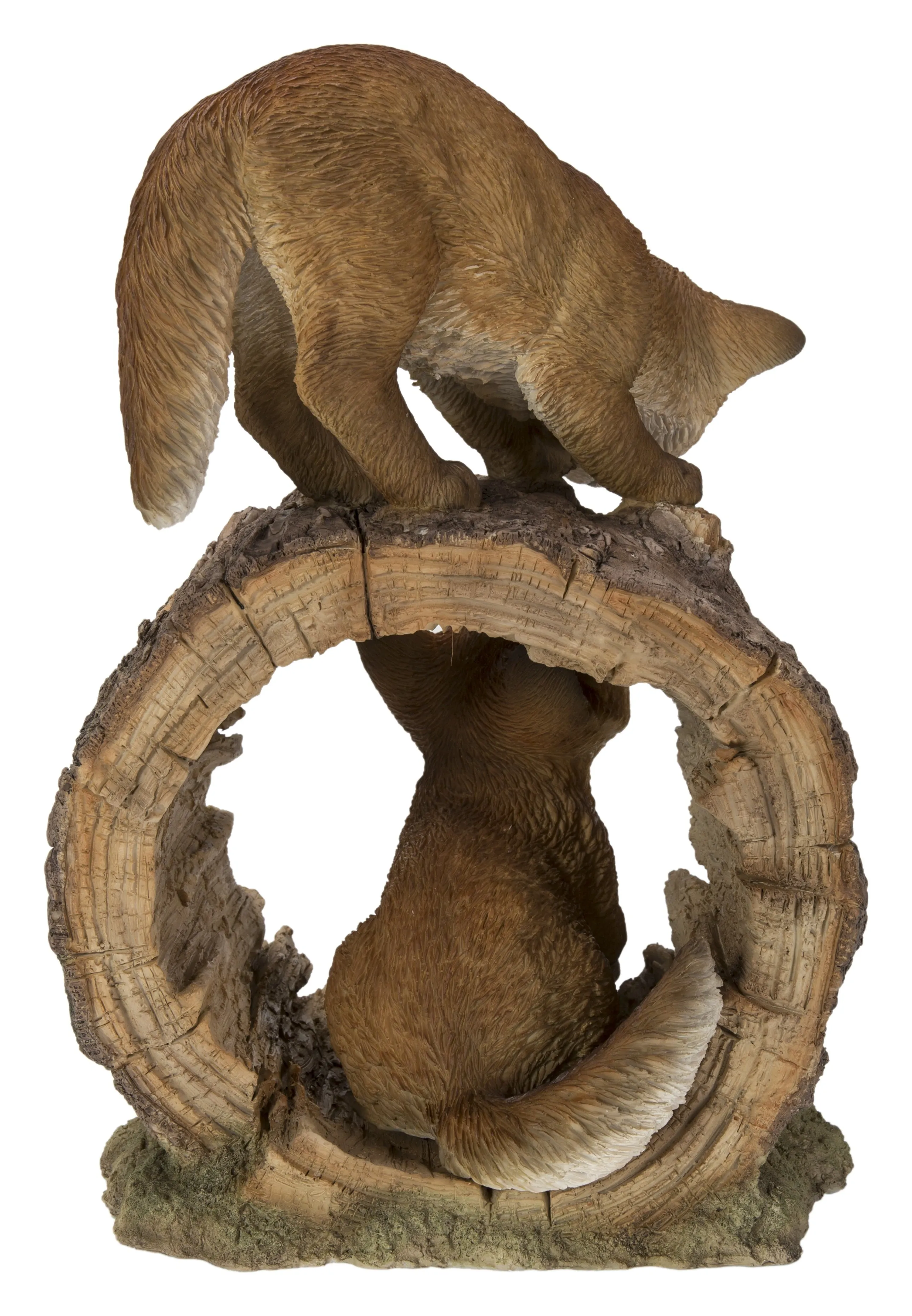 Fox Pups Playing