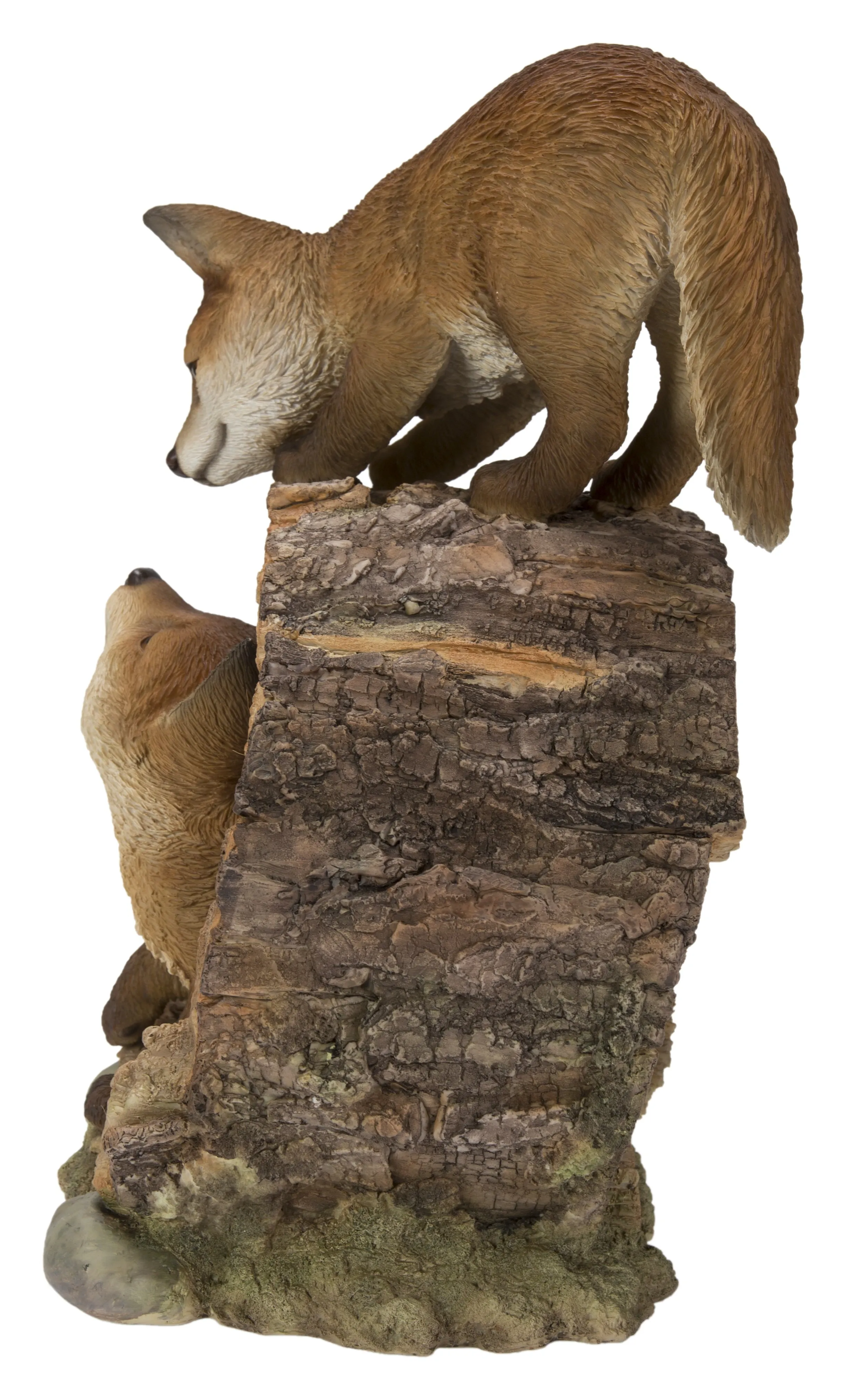 Fox Pups Playing