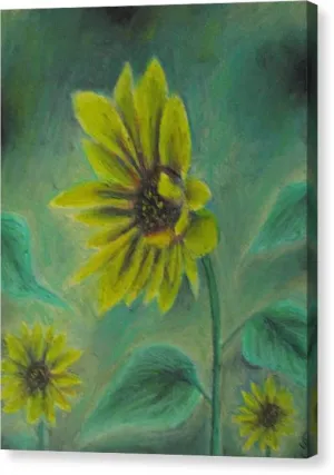 Hazing Sunflowers - Canvas Print