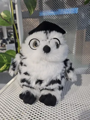 Hoot Graduation Owl