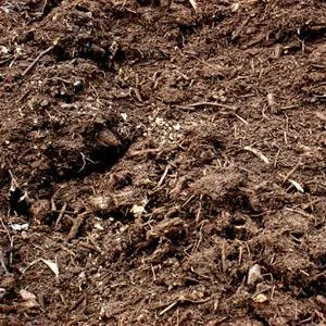 Horse and Chicken Manure / Mushroom Compost Sample