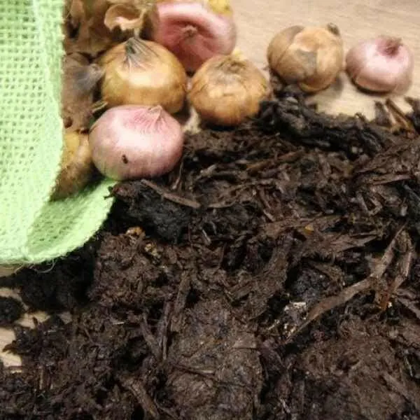 Horse and Chicken Manure / Mushroom Compost Sample