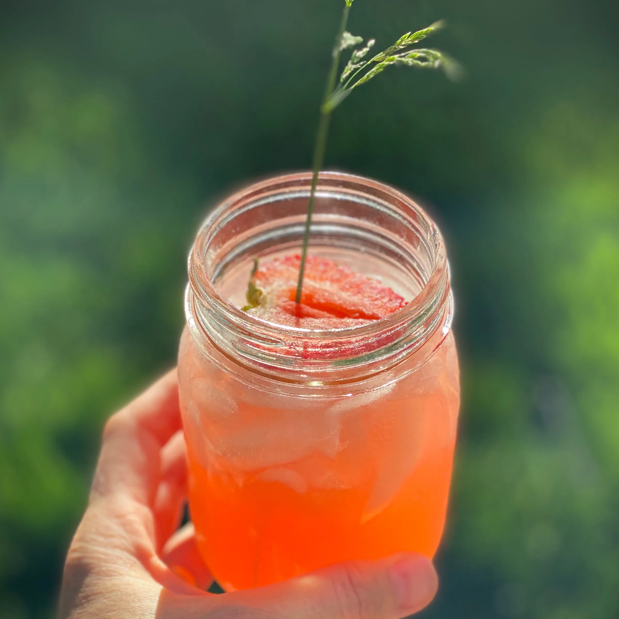 Marrakech Lemonade Cocktail Pack