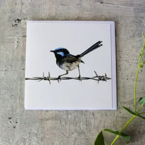 Matteo Grilli Card 'Superb Fairy Wren'