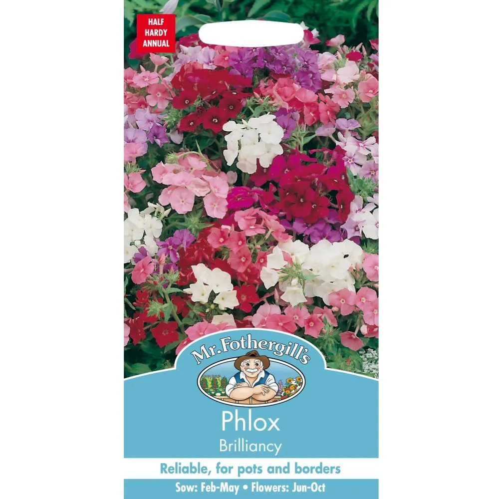 Mr Fothergill's Phlox Brilliancy