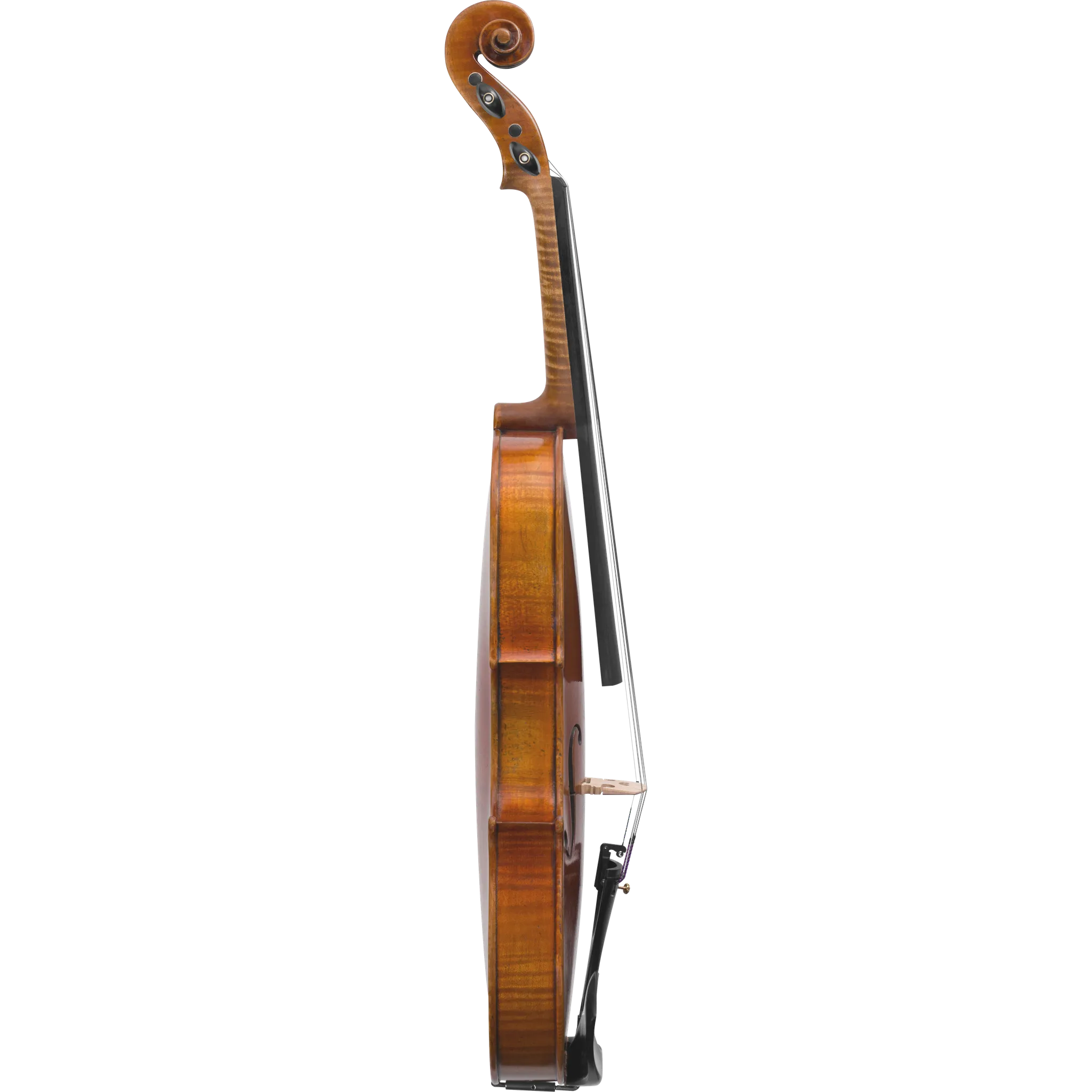 Noble Philip Maple Leaf Strings Advanced Violin with Case