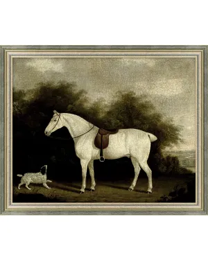 Noble Steed