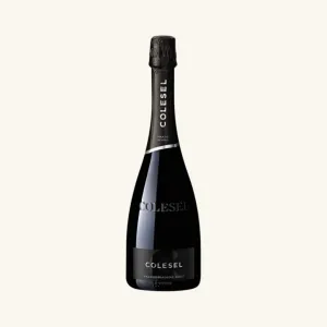NV Colesel Valdobbiadene Prosecco