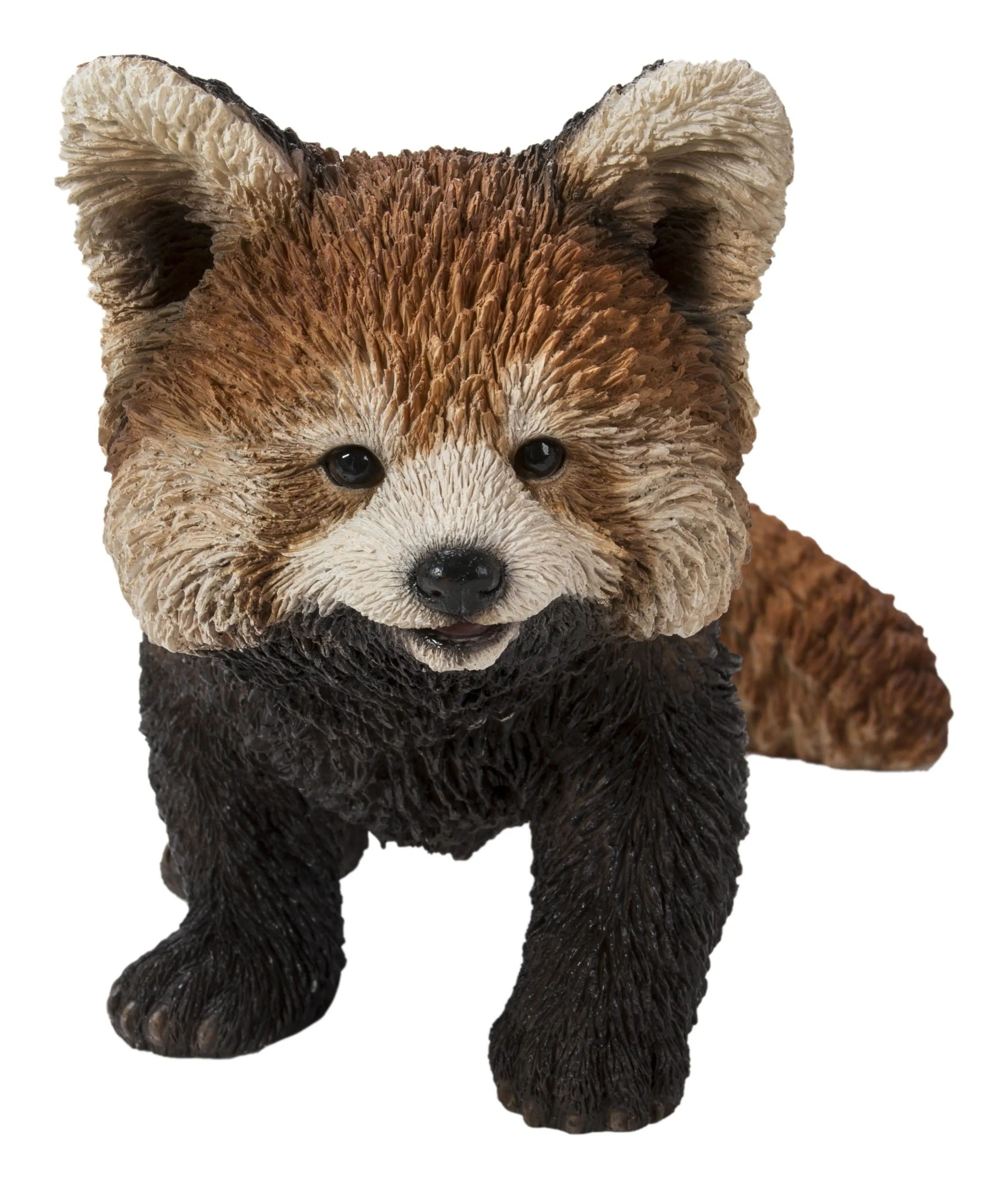 Red Panda Cub Walking