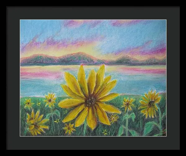 Setting Sunflower - Framed Print