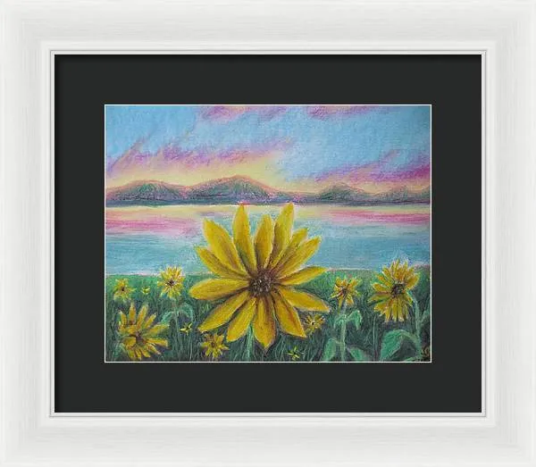 Setting Sunflower - Framed Print