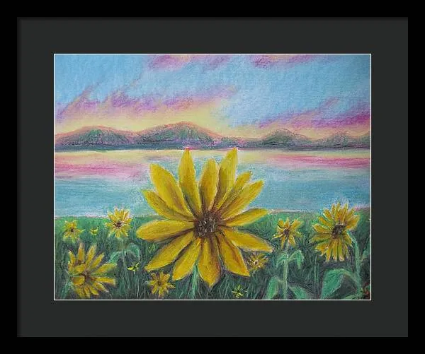 Setting Sunflower - Framed Print