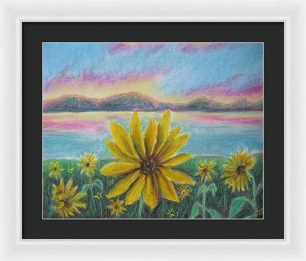 Setting Sunflower - Framed Print