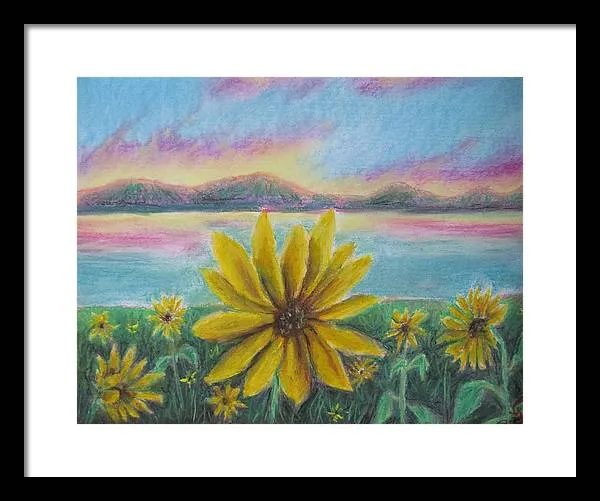 Setting Sunflower - Framed Print