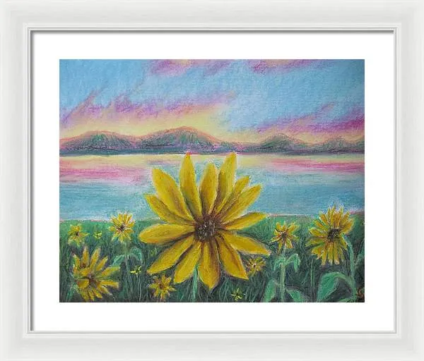 Setting Sunflower - Framed Print