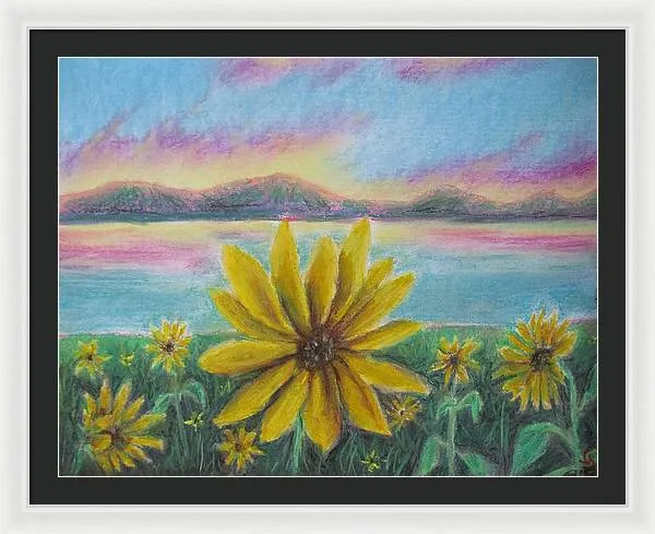 Setting Sunflower - Framed Print