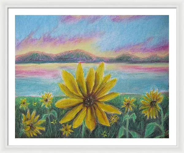 Setting Sunflower - Framed Print
