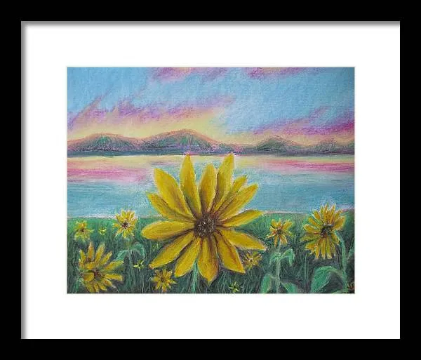 Setting Sunflower - Framed Print