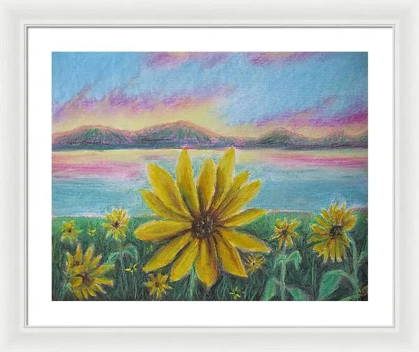 Setting Sunflower - Framed Print