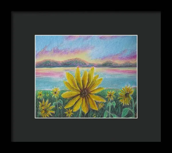 Setting Sunflower - Framed Print
