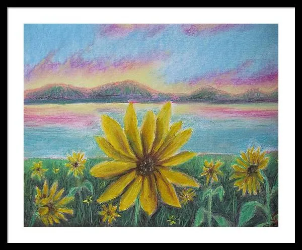 Setting Sunflower - Framed Print