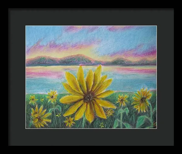 Setting Sunflower - Framed Print