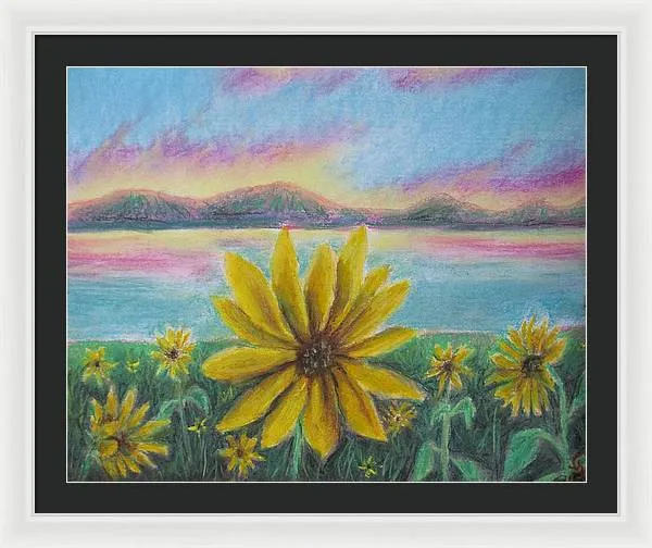 Setting Sunflower - Framed Print