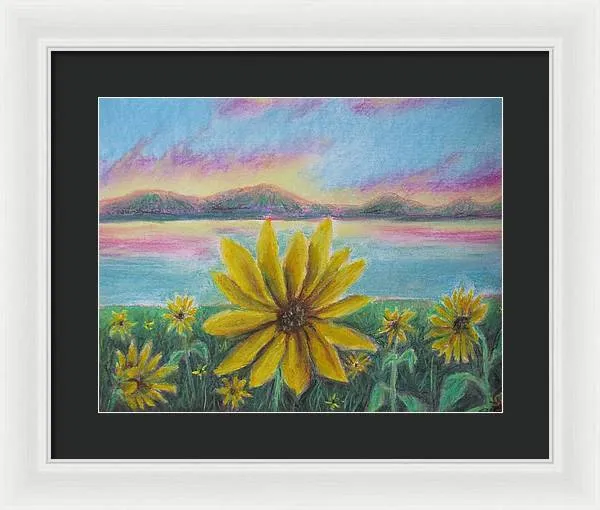 Setting Sunflower - Framed Print