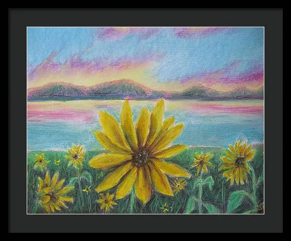 Setting Sunflower - Framed Print
