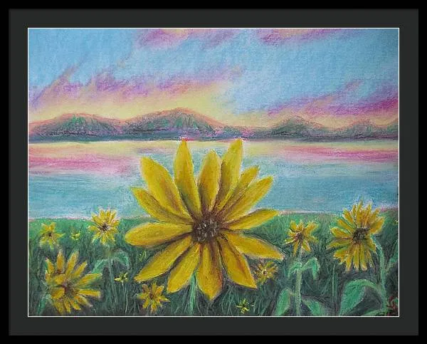 Setting Sunflower - Framed Print