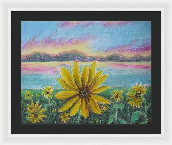 Setting Sunflower - Framed Print