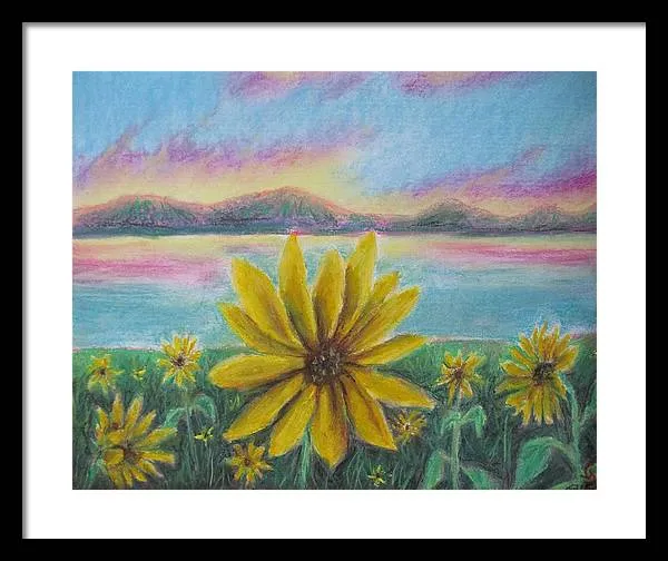 Setting Sunflower - Framed Print