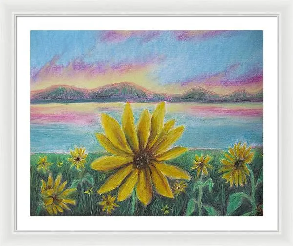 Setting Sunflower - Framed Print