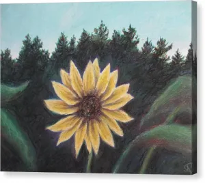 Spinning Flower Sun - Canvas Print