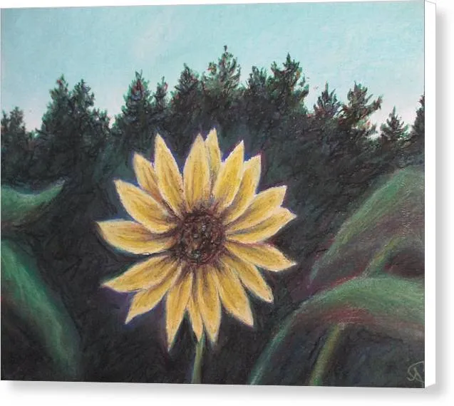Spinning Flower Sun - Canvas Print